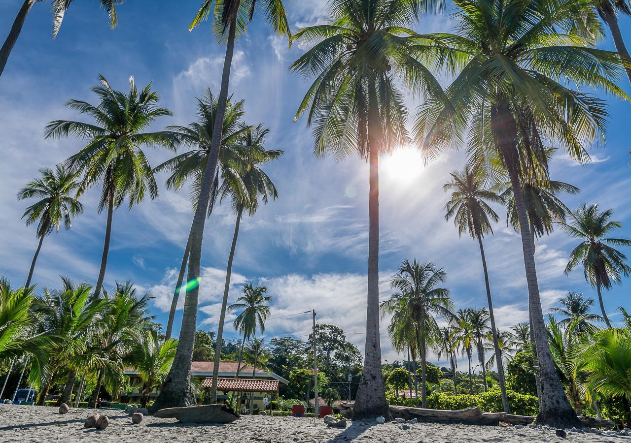 Hotel Manuel Antonio Luaran gambar