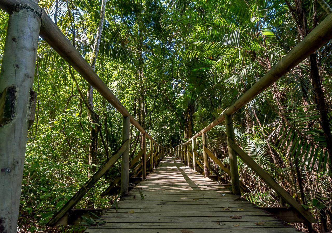 Hotel Manuel Antonio Luaran gambar